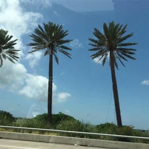 Meet your Posher, Alexa